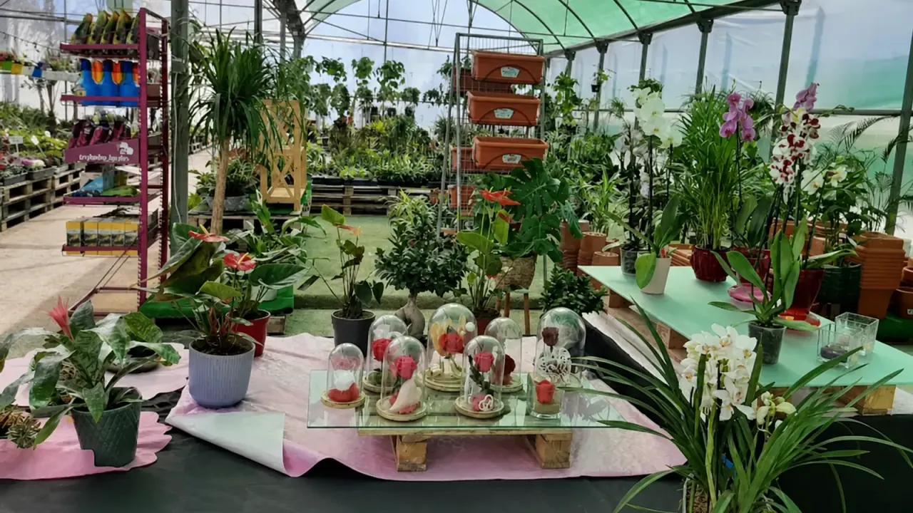 Blog técnico de jardinería La Mimosa